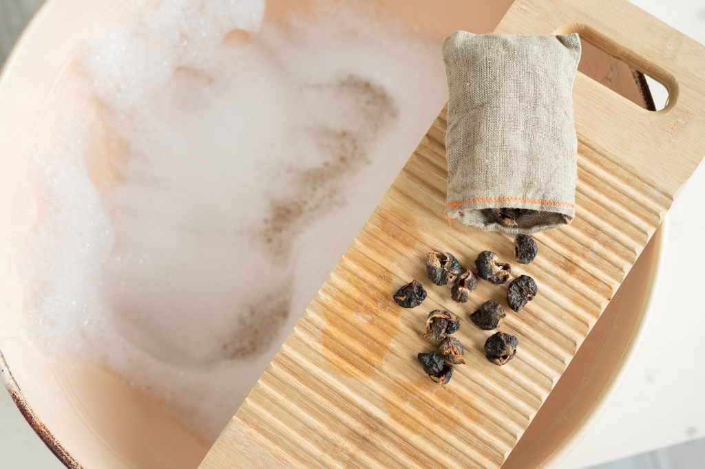 Eco-friendly natural laundry detergent - soap nuts and washboard. Zero waste.